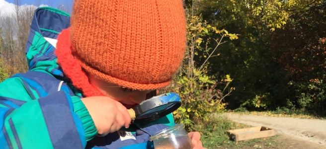 Kid investigating pond water with microscope.
