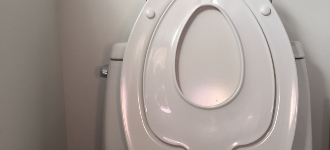 Toilet seat with a bidet attachment.